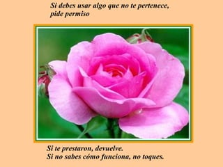 Si debes usar algo que no te pertenece, pide permiso Si te prestaron, devuelve.  Si no sabes cómo funciona, no toques. 