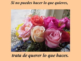 Si no puedes hacer lo que quieres, trata de querer lo que haces. 