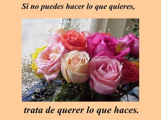 Si no puedes hacer lo que quieres,




trata de querer lo que haces.
 