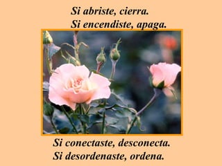 Si abriste, cierra. Si encendiste, apaga. Si conectaste, desconecta. Si desordenaste, ordena.