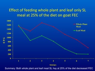 Effect of feeding whole plant and leaf only SL
meal at 25% of the diet on goat FEC
Summary: Both whole plant and leaf meal...