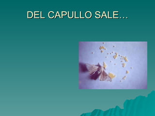 DEL CAPULLO SALE… 
