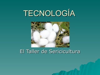 TECNOLOGÍA El Taller de Sericicultura 
