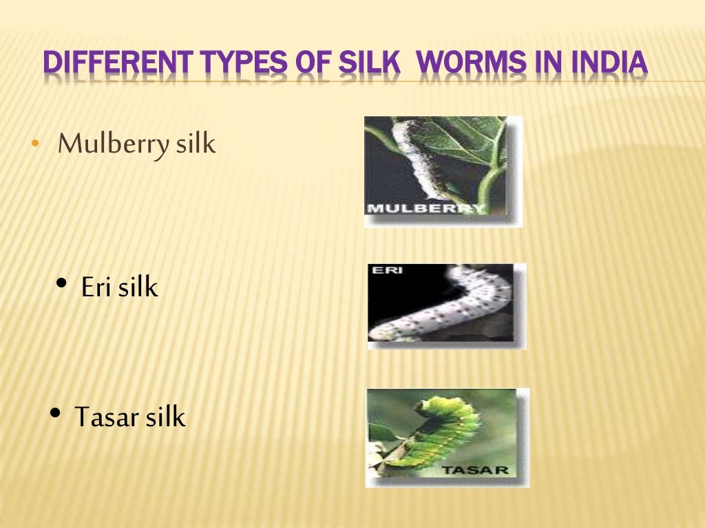 Sericulture History,silk route & types of silk