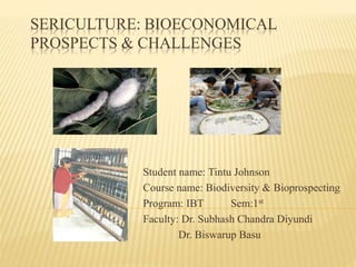 SERICULTURE: BIOECONOMICAL 
PROSPECTS & CHALLENGES 
Student name: Tintu Johnson 
Course name: Biodiversity & Bioprospecting 
Program: IBT Sem:1st 
Faculty: Dr. Subhash Chandra Diyundi 
Dr. Biswarup Basu 
 