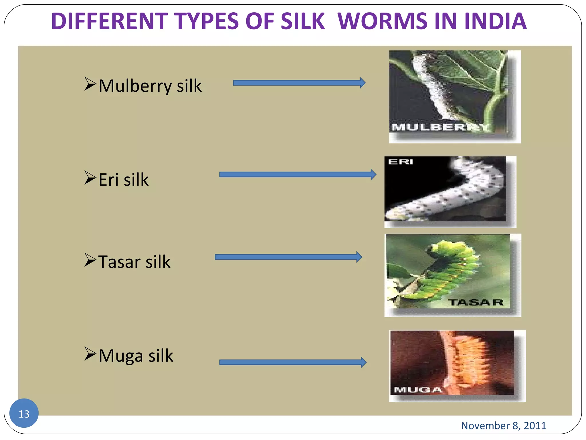 DIFFERENT TYPES OF SILK  WORMS IN INDIA Mulberry silk Eri silk Tasar silk Muga silk November 8, 2011 
