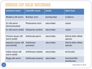 November 8, 2011 Common name Scientific name family Main host Mulbery silk worm Bombyx mori bombycidae mulberry Eri silk worm (domesticated) Phylosamia ricini saturnidae castor Eri silk worm (wild) Pylosamia synthia saturnidae castor Chiness tassar silk worm (wild) Antheraea perni saturnidae Oak & other allied species Japaness tassar silk worm(wild) Antheraea yamamai saturnidae Oak & other allied species Indian tassar silk worm (wild) Antheraea mylitta saturnidae terminalia Muga silk worm Antheraea assama saturnidae Som(michillis bombicina) 