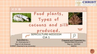 SERICULTURE-MZOO334
CIA 1
Food plants,
Types of
cocoons and silk
produced.
Submitted to:-
Dr. Krishnakumar V
Dept of Life Sciences
CHRIST (Deemed to be University)
Prepared and Presented by:-
Sabahat Batul Khusnuma
Reg no:- 2047832
2MZOO
01
 