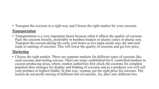 • Transport the cocoons in a right way and Choose the right market for your cocoons.
Transportation
• Transportation is a very important factor because often it affects the quality of cocoons.
Pack the cocoons loosely, preferably in bamboo baskets or plastic crates or plastic nets.
Transport the cocoon during the early cool hours as live pupa inside may die and melt
leads to staining of cocoons. This will lower the quality of cocoons and get low price.
Marketing
• Choose the right market. There are separate markets for different types of cocoons like
seed cocoons and reeling cocoon. There are many established Govt. controlled markets in
cocoon producing areas, where, market authorities first check the cocoons for complete
pupation then arranges for display and bidding of cocoons and as a producer you will sell
your produce to highest bidder. In that way, youmay get the right price for cocoons. The
reelers do not prefer mixing of different lots of cocoons. So, don't mix different lots.
 
