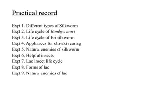 Practical record
Expt 1. Different types of Silkworm
Expt 2. Life cycle of Bombyx mori
Expt 3. Life cycle of Eri silkworm
Expt 4. Appliances for chawki rearing
Expt 5. Natural enemies of silkworm
Expt 6. Helpful insects
Expt 7. Lac insect life cycle
Expt 8. Forms of lac
Expt 9. Natural enemies of lac
 