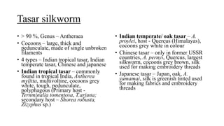 Tasar silkworm
• > 90 %, Genus – Antheraea
• Cocoons – large, thick and
pedunculate, made of single unbroken
filaments
• 4 types – Indian tropical tasar, Indian
temperate tasar, Chinese and japanese
• Indian tropical tasar – commonly
found in tropical India, Antherea
mylitta, multivoltine, cocoons grey
white, tough, pedunculate,
polyphagous (Primary host -
Ternminalia tomentosa, T.arjuna;
secondary host – Shorea robusta,
Zizyphus sp.)
• Indian temperate/ oak tasar – A.
proylei, host - Quercus (Himalayas),
cocoons grey white in colour
• Chinese tasar – only in former USSR
countries, A. pernyi, Quercus, largest
silkworm, cocoons grey brown, silk
used for making embroidery threads
• Japanese tasar – Japan, oak, A.
yamamai, silk is greenish tinted used
for making fabrics and embroidery
threads
 