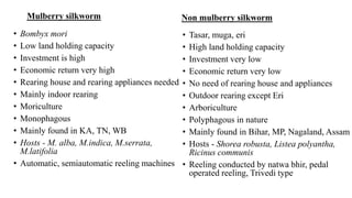 Mulberry silkworm
• Bombyx mori
• Low land holding capacity
• Investment is high
• Economic return very high
• Rearing house and rearing appliances needed
• Mainly indoor rearing
• Moriculture
• Monophagous
• Mainly found in KA, TN, WB
• Hosts - M. alba, M.indica, M.serrata,
M.latifolia
• Automatic, semiautomatic reeling machines
Non mulberry silkworm
• Tasar, muga, eri
• High land holding capacity
• Investment very low
• Economic return very low
• No need of rearing house and appliances
• Outdoor rearing except Eri
• Arboriculture
• Polyphagous in nature
• Mainly found in Bihar, MP, Nagaland, Assam
• Hosts - Shorea robusta, Listea polyantha,
Ricinus communis
• Reeling conducted by natwa bhir, pedal
operated reeling, Trivedi type
 