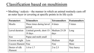 Classification based on moultinism
• Moulting / ecdysis – the manner in which an animal routinely casts off
an outer layer or covering at specific points in its life cycle
Parameters Trimoulters Tetramoulters Pentamoulters
Moults Three times during larval
period
4 times 5 times
Larval duration Limited growth, short 15-
18 days
Medium 23-28
days
Long
Size Pupae and moth small
Cocoon weight Less Medium High
Cocoon filament Fine Fine More
Denier of silk
filament
1.6 to 1.7 2 to 2.5 Very heavy
 
