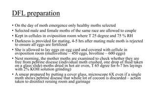 DFL preparation
• On the day of moth emergence only healthy moths selected
• Selected male and female moths of the same race are allowed to couple
• Kept in cellules in oviposition room where T 25 degree and 75 % RH
• Darkness is provided for mating, 4-5 hrs after mating male moth is rejected
to ensure all eggs are fertilized
• She is allowed to lay eggs on egg card and covered with cellule in
oviposition room (multivoltine – 450 eggs, bivoltine – 600 eggs)
• Next morning, the mother moths are examined to check whether they are
free from pebrine disease (individual moth crushed, one drop of fluid taken
on a glass slide) moths dried in hot air oven, T 65 dgree for 6-7 hrs layings
with 2% KOH solution grinding)
• A smear prepared by putting a cover glass, microscope 6X even if a single
moth shows pebrine disease that whole lot of cocoon is discarded – action
taken to disinfect reraing room and garinage
 