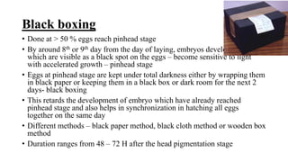 Black boxing
• Done at > 50 % eggs reach pinhead stage
• By around 8th or 9th day from the day of laying, embryos develop eye spots
which are visible as a black spot on the eggs – become sensitive to light
with accelerated growth – pinhead stage
• Eggs at pinhead stage are kept under total darkness either by wrapping them
in black paper or keeping them in a black box or dark room for the next 2
days- black boxing
• This retards the development of embryo which have already reached
pinhead stage and also helps in synchronization in hatching all eggs
together on the same day
• Different methods – black paper method, black cloth method or wooden box
method
• Duration ranges from 48 – 72 H after the head pigmentation stage
 