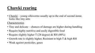 Chawki rearing
• Chawki – young silkworms usually up to the end of second instar,
looks like tiny ants
Characterestics
• Tiny and delicate – chances of damage are higher during handling
• Require highly nutritive and easily digestible food
• Require slightly higher T (28 degree) & RH (80%)
• Growth rate is slightly higher, Resistant to high T & high RH
• Weak against pesticides, gases
 