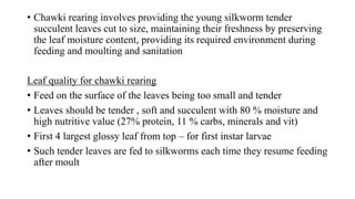 • Chawki rearing involves providing the young silkworm tender
succulent leaves cut to size, maintaining their freshness by preserving
the leaf moisture content, providing its required environment during
feeding and moulting and sanitation
Leaf quality for chawki rearing
• Feed on the surface of the leaves being too small and tender
• Leaves should be tender , soft and succulent with 80 % moisture and
high nutritive value (27% protein, 11 % carbs, minerals and vit)
• First 4 largest glossy leaf from top – for first instar larvae
• Such tender leaves are fed to silkworms each time they resume feeding
after moult
 