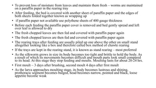• To prevent loss of moisture from leaves and maintain them fresh – worms are maintained
on a paraffin paper in the rearing tray
• After feeding, the bed is covered with another sheet of paraffin paper and the edges of
both sheets folded together known as wrapping up
• if paraffin paper not available use polythene sheets of 400 gauge thickness
• Before each feeding the paraffin paper cover is removed and bed gently spread and left
over leaf is allowed to dry
• The fresh chopped leaves are then fed and covered with paraffin paper again
• The fresh chopped leaves are then fed and covered with paraffin paper again
• The rearing trays after feeding are usually piled up one above the other on small stand
altogether looking like a box and therefore called box method of chawki rearing
• If the trays are kept in the rearing stand, it is known as stand rearing – most preferred
• As the silkworm grows in size its body becomes too tight and brittle to hold the body. As
a result of which its movements becomes difficult and mouth parts look small compared
to its head. At this stage they stop feeding and moults. Moulting lasts for about 20-24 hrs.
• First moult – 3 days after brushing, second moult 4 days after first moult
• As the larva approaches moulting stage, its body becomes lustrous and shining,
prothoracic segment becomes bulged, head becomes narrow, pointed and black, loose
appetite become weak
 