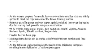 • As the worms prepare for moult, leaves are cut into smaller size and thinly
spread to meet the requirement of the fewer feeding worms
• Remove paraffin paper and wet paper, sprinkle slaked lime over the bed to
dry the rearing bed, provide adequate ventilation
• 95 % worms come out of moult, dust bed disinfectant (Vijetha, Ankusk,
Resham Jyothi, TNAU seridust, Sanjeevini)
• Feed in half an hour gap
• Moulted larva looks ash coloured with broader mouth portion and feed
actively
• As the left over leaf accumulates the rearing bed thickness increases
resulting in multiplication of various pathogens
 