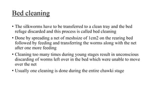Bed cleaning
• The silkworms have to be transferred to a clean tray and the bed
refuge discarded and this process is called bed cleaning
• Done by spreading a net of meshsize of 1cm2 on the rearing bed
followed by feeding and transferring the worms along with the net
after one more feeding
• Cleaning too many times during young stages result in unconscious
discarding of worms left over in the bed which were unable to move
over the net
• Usually one cleaning is done during the entire chawki stage
 