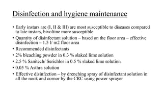 Disinfection and hygiene maintenance
• Early instars are (I, II & III) are most susceptible to diseases compared
to late instars, bivoltine more susceptible
• Quantity of disinfectant solution – based on the floor area – effective
disinfection – 1.5 l/ m2 floor area
• Recommended disinfectants
• 2% bleaching powder in 0.3 % slaked lime solution
• 2.5 % Sanitech/ Serichlor in 0.5 % slaked lime solution
• 0.05 % Asthra solution
• Effective disinfection – by drenching spray of disinfectant solution in
all the nook and cornor by the CRC using power sprayer
 