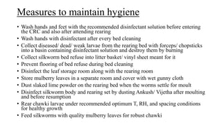Measures to maintain hygiene
• Wash hands and feet with the recommended disinfectant solution before entering
the CRC and also after attending rearing
• Wash hands with disinfectant after every bed cleaning
• Collect diseased/ dead/ weak larvae from the rearing bed with forceps/ chopsticks
into a basin containing disinfectant solution and destroy them by burning
• Collect silkworm bed refuse into litter basket/ vinyl sheet meant for it
• Prevent flooring of bed refuse during bed cleaning
• Disinfect the leaf storage room along with the rearing room
• Store mulberry leaves in a separate room and cover with wet gunny cloth
• Dust slaked lime powder on the rearing bed when the worms settle for moult
• Disinfect silkworm body and rearing set by dusting Ankush/ Vijetha after moulting
and before resumption
• Rear chawki larvae under recommended optimum T, RH, and spacing conditions
for healthy growth
• Feed silkworms with quality mulberry leaves for robust chawki
 