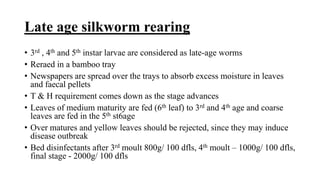 Late age silkworm rearing
• 3rd , 4th and 5th instar larvae are considered as late-age worms
• Reraed in a bamboo tray
• Newspapers are spread over the trays to absorb excess moisture in leaves
and faecal pellets
• T & H requirement comes down as the stage advances
• Leaves of medium maturity are fed (6th leaf) to 3rd and 4th age and coarse
leaves are fed in the 5th st6age
• Over matures and yellow leaves should be rejected, since they may induce
disease outbreak
• Bed disinfectants after 3rd moult 800g/ 100 dfls, 4th moult – 1000g/ 100 dfls,
final stage - 2000g/ 100 dfls
 
