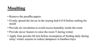 Moulting
• Remove the paraffin papers
• Evenly spread the larvae in the rearing bed 6-8 H before settling for
moult
• Provide air circulation to avoid excess humidity inside the room
• Provide stove/ heaters to raise the room T during winter
• Apply lime powder 60 min before resumption of feeding daily during
rainy/ winter seasons to reduce dampness in bamboo trays
 