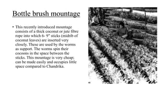 Bottle brush mountage
• This recently introduced mountage
consists of a thick coconut or jute fibre
rope into which 6- 9″ sticks (midrib of
coconut leaves) are inserted very
closely. These are used by the worms
as support. The worms spin their
cocoons in the space between the
sticks. This mountage is very cheap;
can be made easily and occupies little
space compared to Chandrika.
 