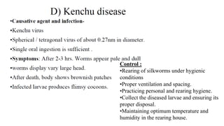 Control :
•Rearing of silkworms under hygienic
conditions
•Proper ventilation and spacing.
•Practicing personal and rearing hygiene.
•Collect the diseased larvae and ensuring its
proper disposal.
•Maintaining optimum temperature and
humidity in the rearing house.
 