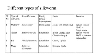 Different types of silkworm
Sl.
No.
Type of
silkworm
Scientific name Family
(Order :
Lepidoptera)
Hosts Remarks
1
2
3
4
Mulberry
Tassar
Eri
Muga
Bombyx mori
Antherea mylitta
Philasamia ricini
Antherea
assamensis
Bombicinae
Saturnidae
Saturnidae
Saturnidae
Morus spp. (Mulberry)
Indian Laurel, arjun
(Terminalia sp.)
Castor, Tapioca
Som and Soalu
Sericin content
25-30 %
Single strand
Sericin content
18-25 %, cocoon
pedunculate
 