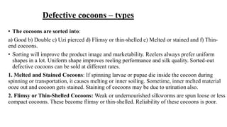 Defective cocoons – types
• The cocoons are sorted into:
a) Good b) Double c) Uzi pierced d) Flimsy or thin-shelled e) Melted or stained and f) Thin-
end cocoons.
• Sorting will improve the product image and marketability. Reelers always prefer uniform
shapes in a lot. Uniform shape improves reeling performance and silk quality. Sorted-out
defective cocoons can be sold at different rates.
1. Melted and Stained Cocoons: If spinning larvae or pupae die inside the cocoon during
spinning or transportation, it causes melting or inner soiling. Sometime, inner melted material
ooze out and cocoon gets stained. Staining of cocoons may be due to urination also.
2. Flimsy or Thin-Shelled Cocoons: Weak or undernourished silkworms are spun loose or less
compact cocoons. These become flimsy or thin-shelled. Reliability of these cocoons is poor.
 