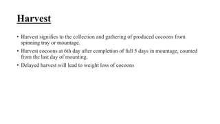 Harvest
• Harvest signifies to the collection and gathering of produced cocoons from
spinning tray or mountage.
• Harvest cocoons at 6th day after completion of full 5 days in mountage, counted
from the last day of mounting.
• Delayed harvest will lead to weight loss of cocoons
 