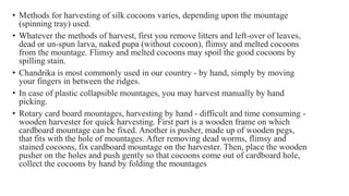 • Methods for harvesting of silk cocoons varies, depending upon the mountage
(spinning tray) used.
• Whatever the methods of harvest, first you remove litters and left-over of leaves,
dead or un-spun larva, naked pupa (without cocoon), flimsy and melted cocoons
from the mountage. Flimsy and melted cocoons may spoil the good cocoons by
spilling stain.
• Chandrika is most commonly used in our country - by hand, simply by moving
your fingers in between the ridges.
• In case of plastic collapsible mountages, you may harvest manually by hand
picking.
• Rotary card board mountages, harvesting by hand - difficult and time consuming -
wooden harvester for quick harvesting. First part is a wooden frame on which
cardboard mountage can be fixed. Another is pusher, made up of wooden pegs,
that fits with the hole of mountages. After removing dead worms, flimsy and
stained cocoons, fix cardboard mountage on the harvester. Then, place the wooden
pusher on the holes and push gently so that cocoons come out of cardboard hole,
collect the cocoons by hand by folding the mountages
 