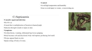 Sericulture Notes.pdf Sericulture notes culturing of different types of silkworm | PDF