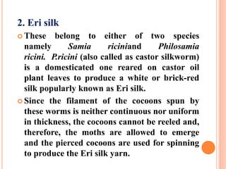 2. Eri silk
 These belong to either of two species
namely Samia riciniand Philosamia
ricini. P.ricini (also called as castor silkworm)
is a domesticated one reared on castor oil
plant leaves to produce a white or brick-red
silk popularly known as Eri silk.
 Since the filament of the cocoons spun by
these worms is neither continuous nor uniform
in thickness, the cocoons cannot be reeled and,
therefore, the moths are allowed to emerge
and the pierced cocoons are used for spinning
to produce the Eri silk yarn.
 