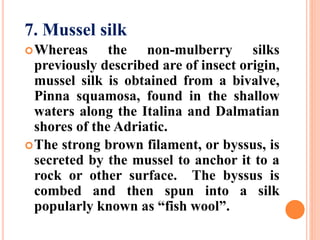 7. Mussel silk
Whereas the non-mulberry silks
previously described are of insect origin,
mussel silk is obtained from a bivalve,
Pinna squamosa, found in the shallow
waters along the Italina and Dalmatian
shores of the Adriatic.
The strong brown filament, or byssus, is
secreted by the mussel to anchor it to a
rock or other surface. The byssus is
combed and then spun into a silk
popularly known as “fish wool”.
 