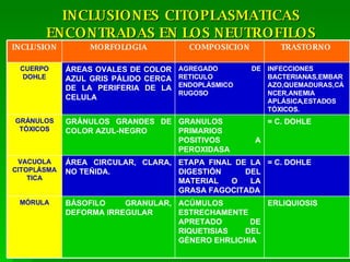 INCLUSIONES   CITOPLASMATICAS ENCONTRADAS EN LOS NEUTROFILOS TRASTORNO  COMPOSICION MORFOLOGIA INCLUSION ERLIQUIOSIS ACÚMULOS ESTRECHAMENTE APRETADO DE RIQUETISIAS DEL GÉNERO EHRLICHIA BÁSOFILO GRANULAR, DEFORMA IRREGULAR MÓRULA = C. DOHLE ETAPA FINAL DE LA DIGESTIÓN DEL MATERIAL O LA GRASA FAGOCITADA ÁREA CIRCULAR, CLARA, NO TEÑIDA. VACUOLA CITOPLÁSMATICA = C. DOHLE GRANULOS PRIMARIOS POSITIVOS A PEROXIDASA GRÁNULOS GRANDES DE COLOR AZUL-NEGRO GRÁNULOS TÓXICOS INFECCIONES BACTERIANAS,EMBARAZO,QUEMADURAS,CÁNCER,ANEMIA APLÁSICA,ESTADOS TÓXICOS. AGREGADO DE RETICULO ENDOPLÁSMICO RUGOSO ÁREAS OVALES DE COLOR AZUL GRIS PÁLIDO CERCA DE LA PERIFERIA DE LA CELULA CUERPO DOHLE 