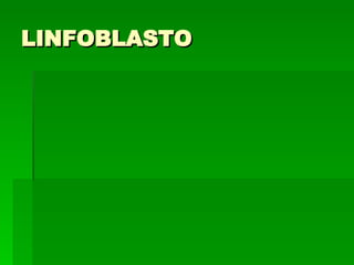 LINFOBLASTO 