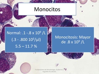 Monocitos
Normal: .1 -.8 x 109 /L
(.3 - .800 103/μl)
5.5 – 11.7 %
Monocitosis: Mayor
de .8 x 109 /L
Fundamentos de Hematología, Guillermo J.
Arguelles 4a edición.
 