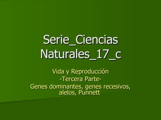 Serie_Ciencias Naturales_17_c Vida y Reproducción -Tercera Parte- Genes dominantes, genes recesivos, alelos, Punnett  