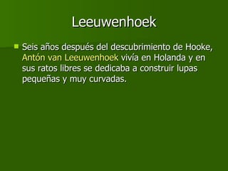 Leeuwenhoek Seis años después del descubrimiento de Hooke,  Antón van Leeuwenhoek  vivía en Holanda y en sus ratos libres se dedicaba a construir lupas pequeñas y muy curvadas. 