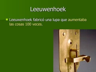 Leeuwenhoek Leeuwenhoek fabricó una lupa que  aumentaba las cosas 100 veces.  
