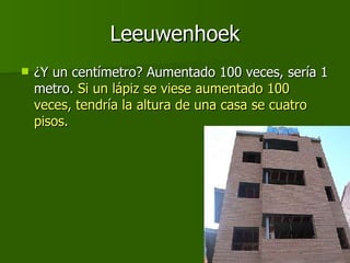 Leeuwenhoek ¿Y un centímetro? Aumentado 100 veces, sería 1 metro.  Si un lápiz se viese aumentado 100 veces, tendría la altura de una casa se cuatro pisos.  