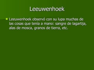Leeuwenhoek Leeuwenhoek observó con su lupa muchas de las cosas que tenía a mano: sangre de lagartija, alas de mosca, granos de tierra, etc.  