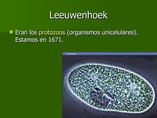 Leeuwenhoek Eran los  protozoos  (organismos unicelulares). Estamos en 1671.  