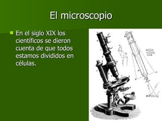 El microscopio En el siglo XIX los científicos se dieron cuenta de que todos estamos divididos en células. 