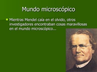 Mundo microscópico Mientras Mendel caía en el olvido, otros investigadores encontraban cosas maravillosas en el mundo microscópico... 