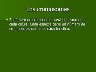 Los cromosomas El número de cromosomas será el mismo en cada célula. Cada especie tiene un número de cromosomas que le es característico. 