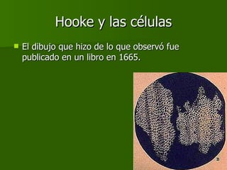 Hooke y las células El dibujo que hizo de lo que observó fue publicado en un libro en 1665.  